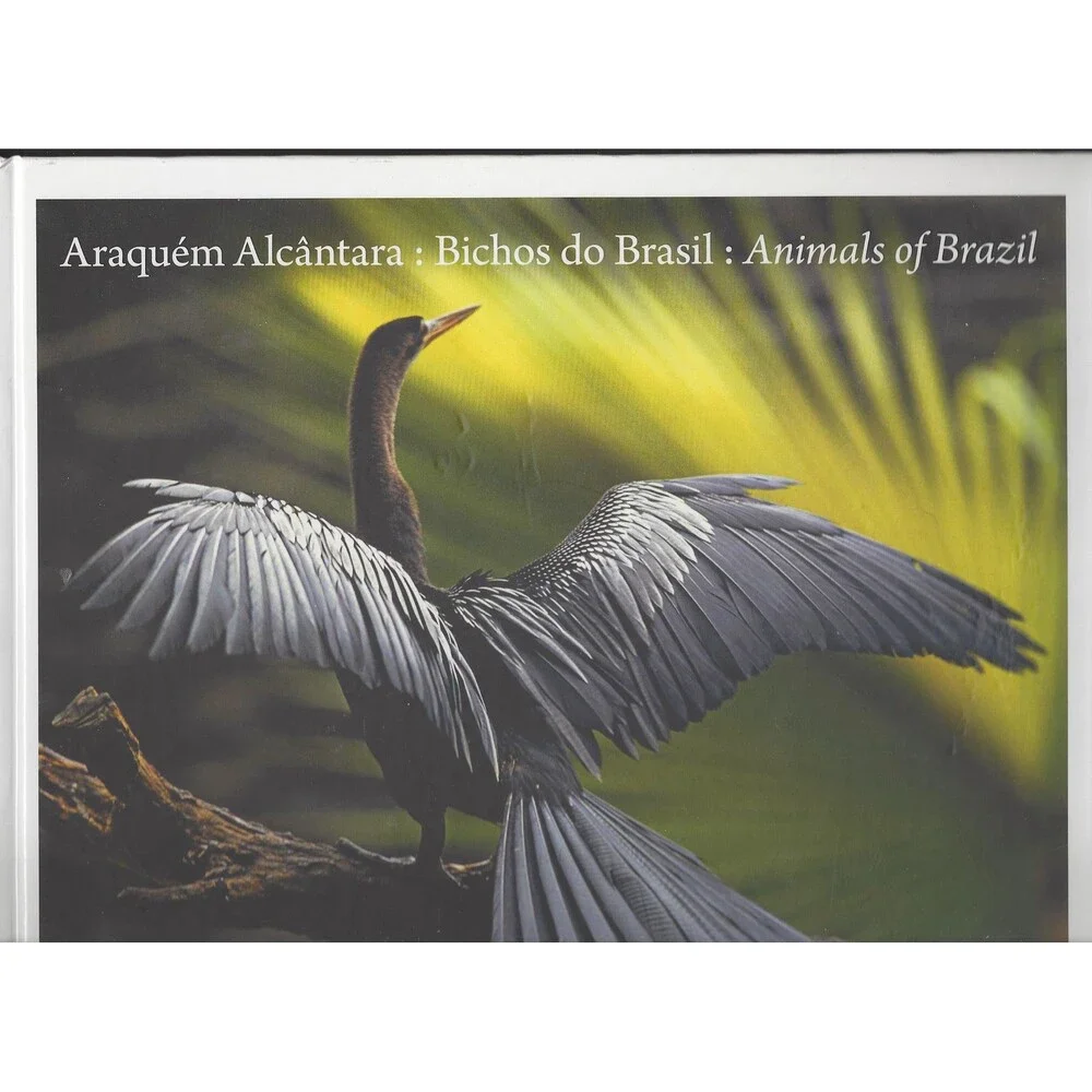 Araquem Alcantara : Bichos do Brasil : Animals of Brazil